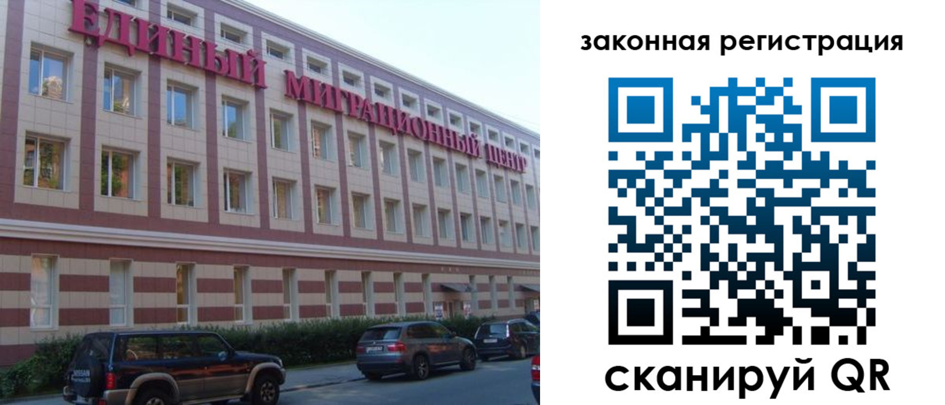 прописка для школы в Тосно